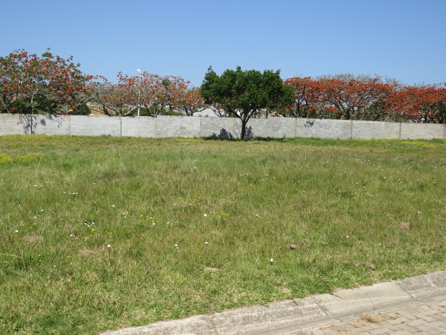 0 Bedroom Property for Sale in Boesmansriviermond Eastern Cape
